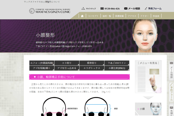 マックスファクス銀座クリニックの公式サイト画面